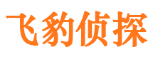 淮阴外遇调查取证